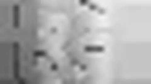 BB贝博艾弗森体育