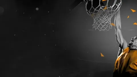 BB贝博艾弗森体育