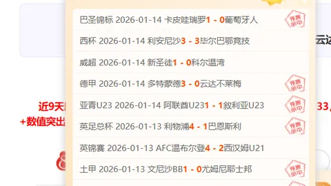 BB贝博艾弗森体育