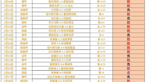 BB贝博艾弗森体育